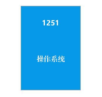 1251+操作系统