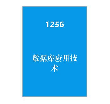 1256+数据库应用技术