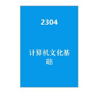 2304+计算机文化基础