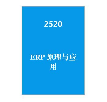 2520+ERP原理与应用